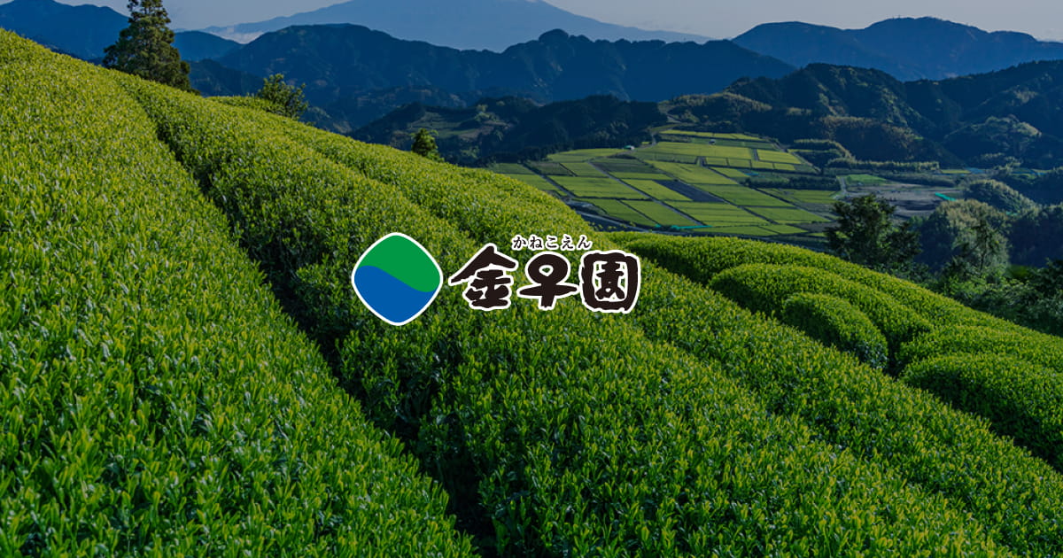 金子園